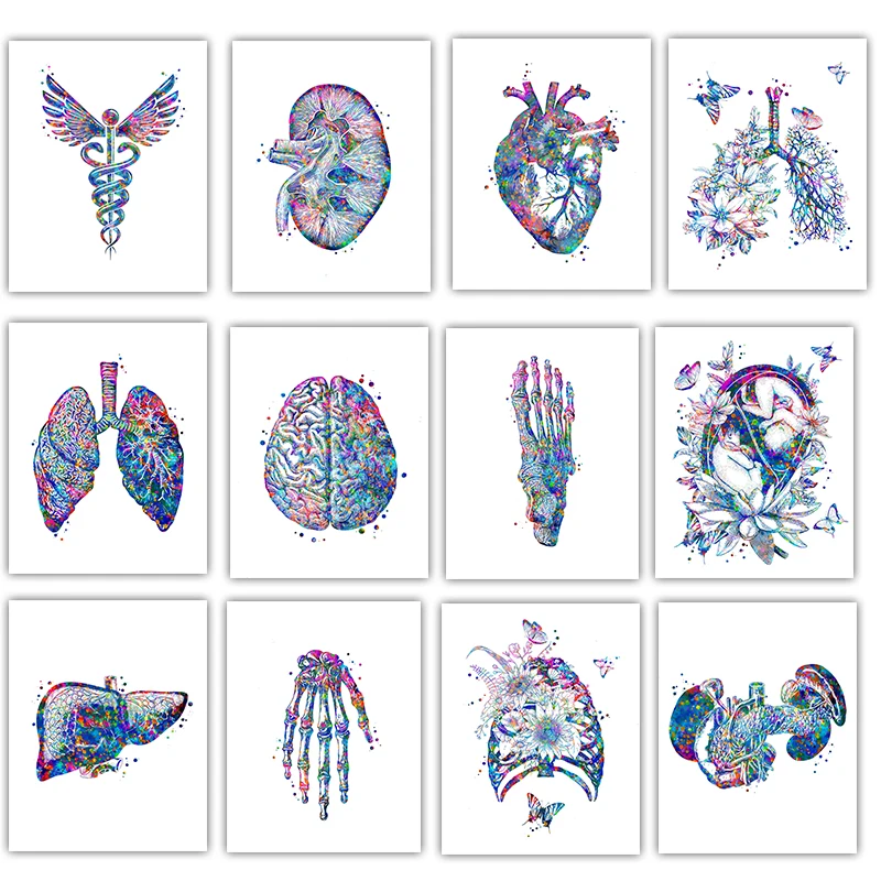 Medical Lab Posters - 해부학 의료 포스터 꽃 오르간 벽