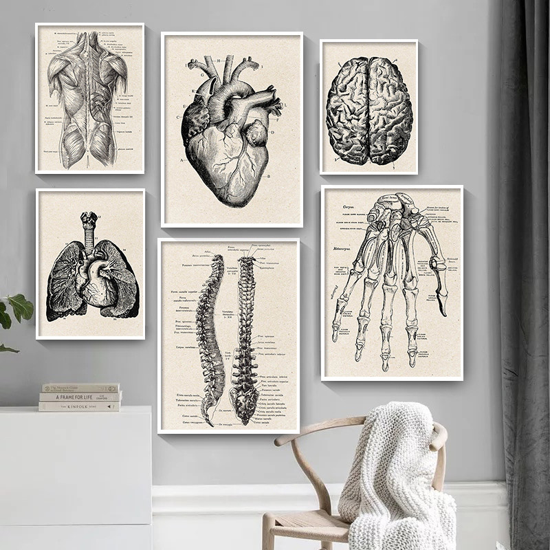 Medical Lab Posters - 의료 해부학 아트워크 캔버스 아트 포스터,