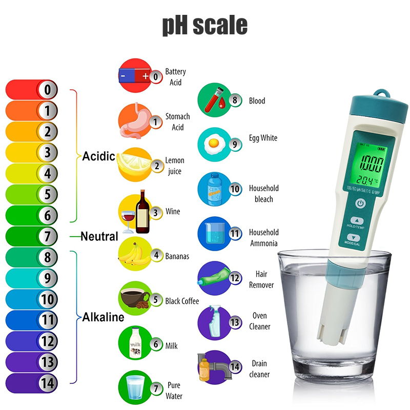 WESTTUNE 디지털 PH 측정기 7 in 1 PH/ - Ph Meter 리뷰 및 가격