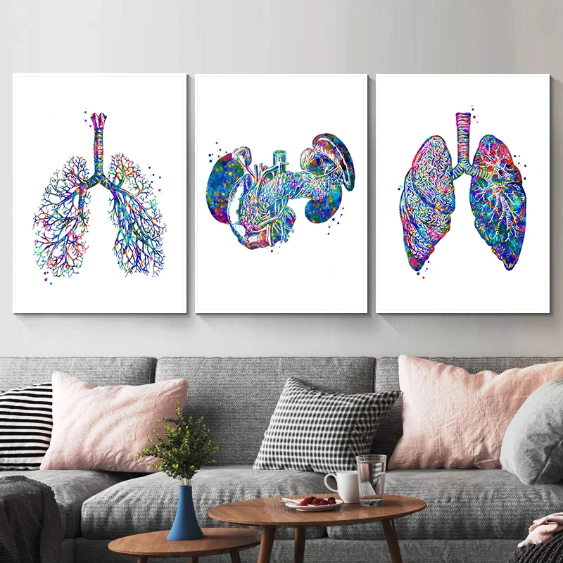 해부학 의료 포스터 꽃 오르간 벽 아트 캔버스 그림,  - Medical Lab Posters 리뷰 및 가격