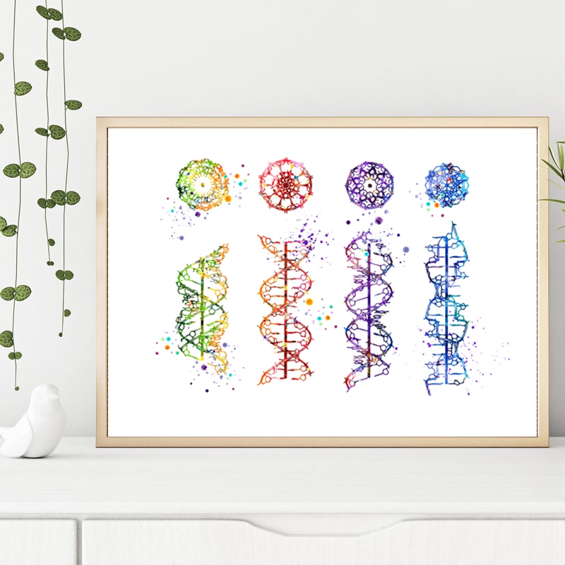 DNA 분자 인쇄 현대 의료 벽 아트 캔버스 회화 Dn - Medical Lab Posters 리뷰 및 가격